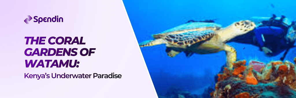 The Coral Gardens of Watamu: Kenya’s Underwater Paradise
