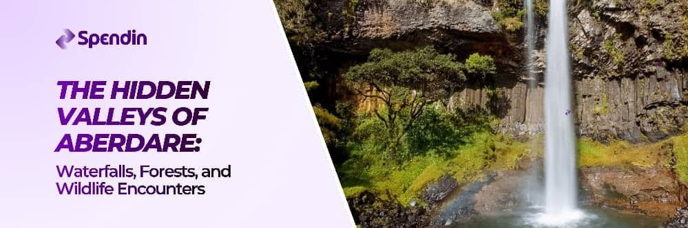The Hidden Valleys of Aberdare: Waterfalls, Forests, and Wildlife Encounters