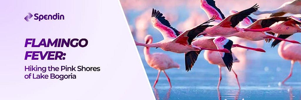 Flamingo Fever: Hiking the Pink Shores of Lake Bogoria